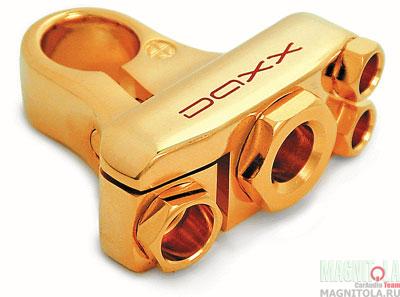   Daxx B30+