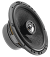 Focal 165 CA1